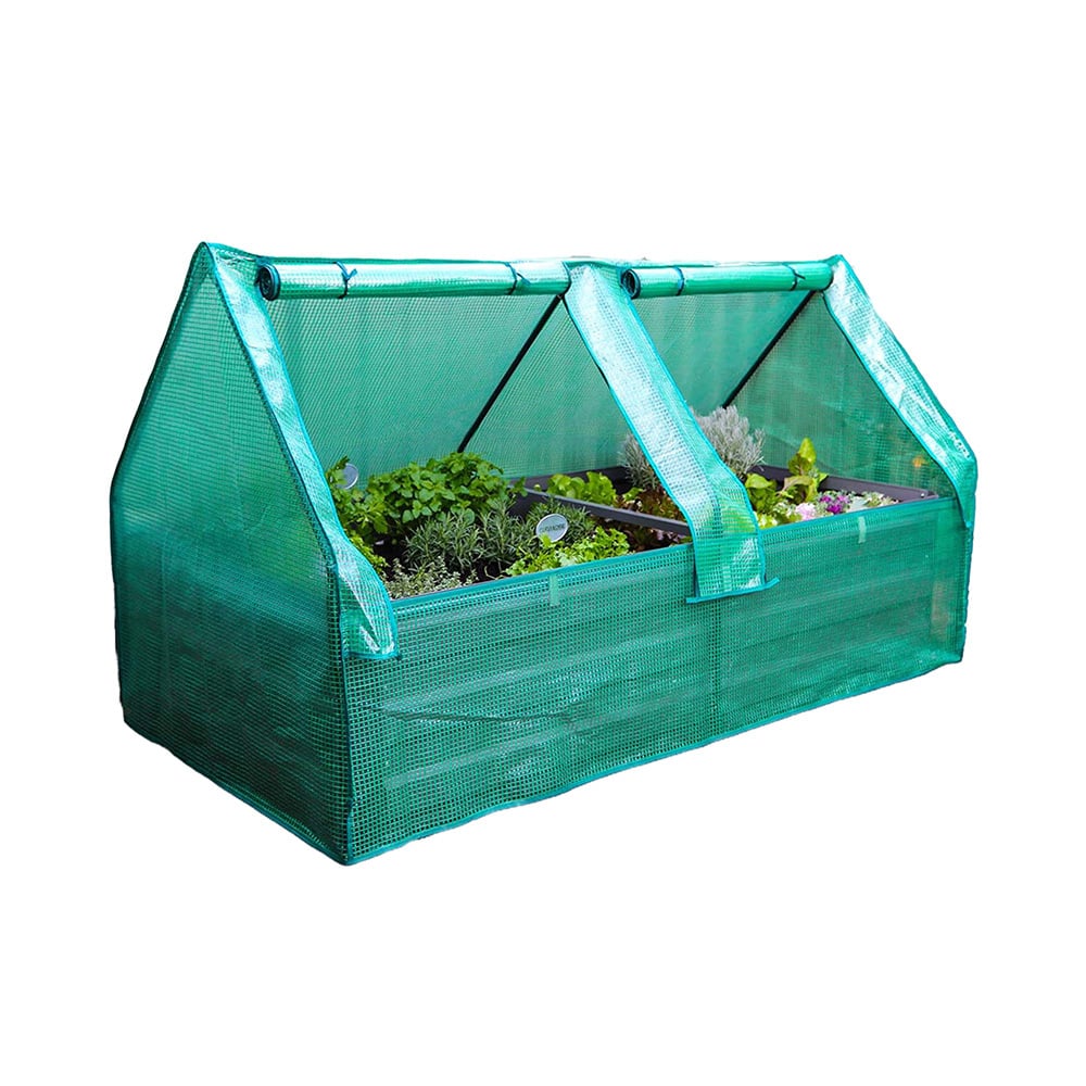 Abilene Drop Over Greenhouse