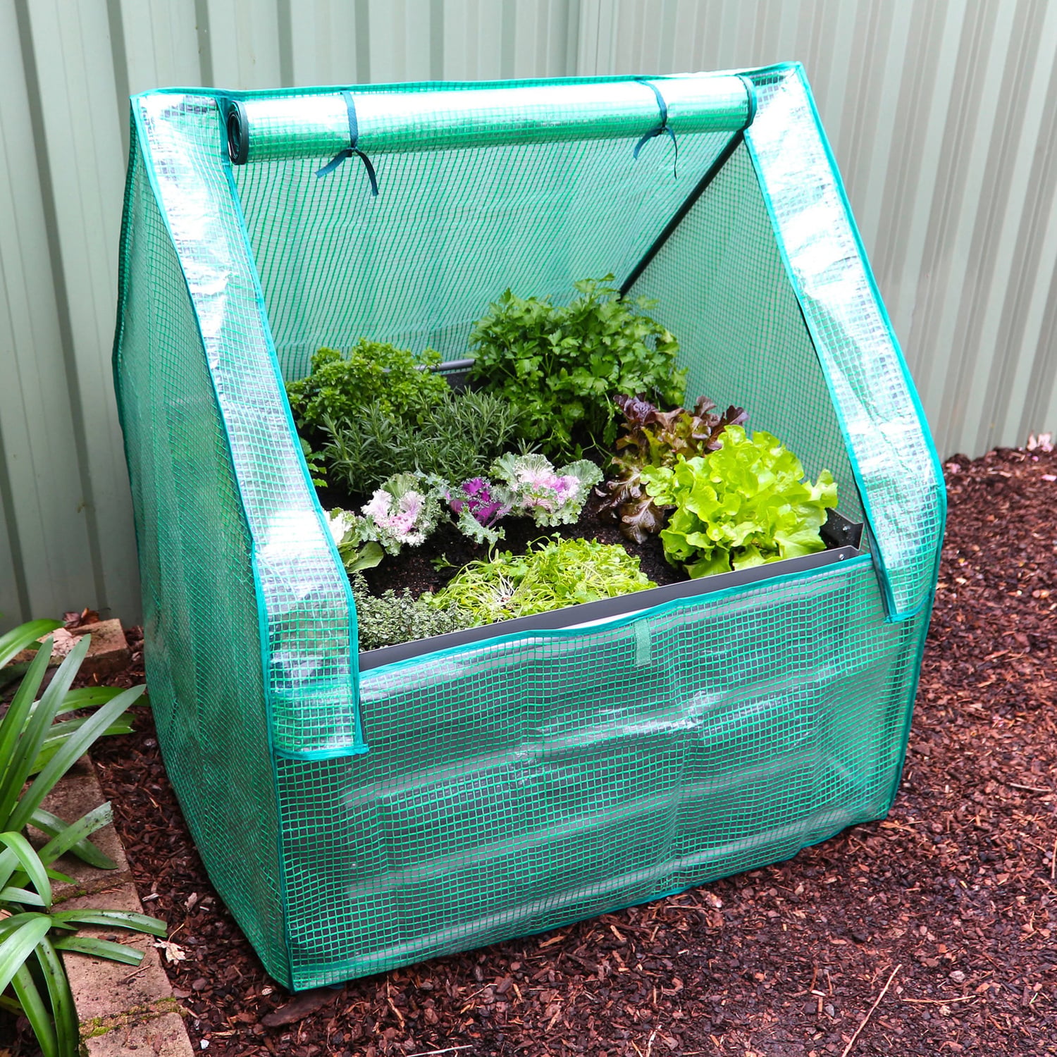 Clem Mini Greenhouse