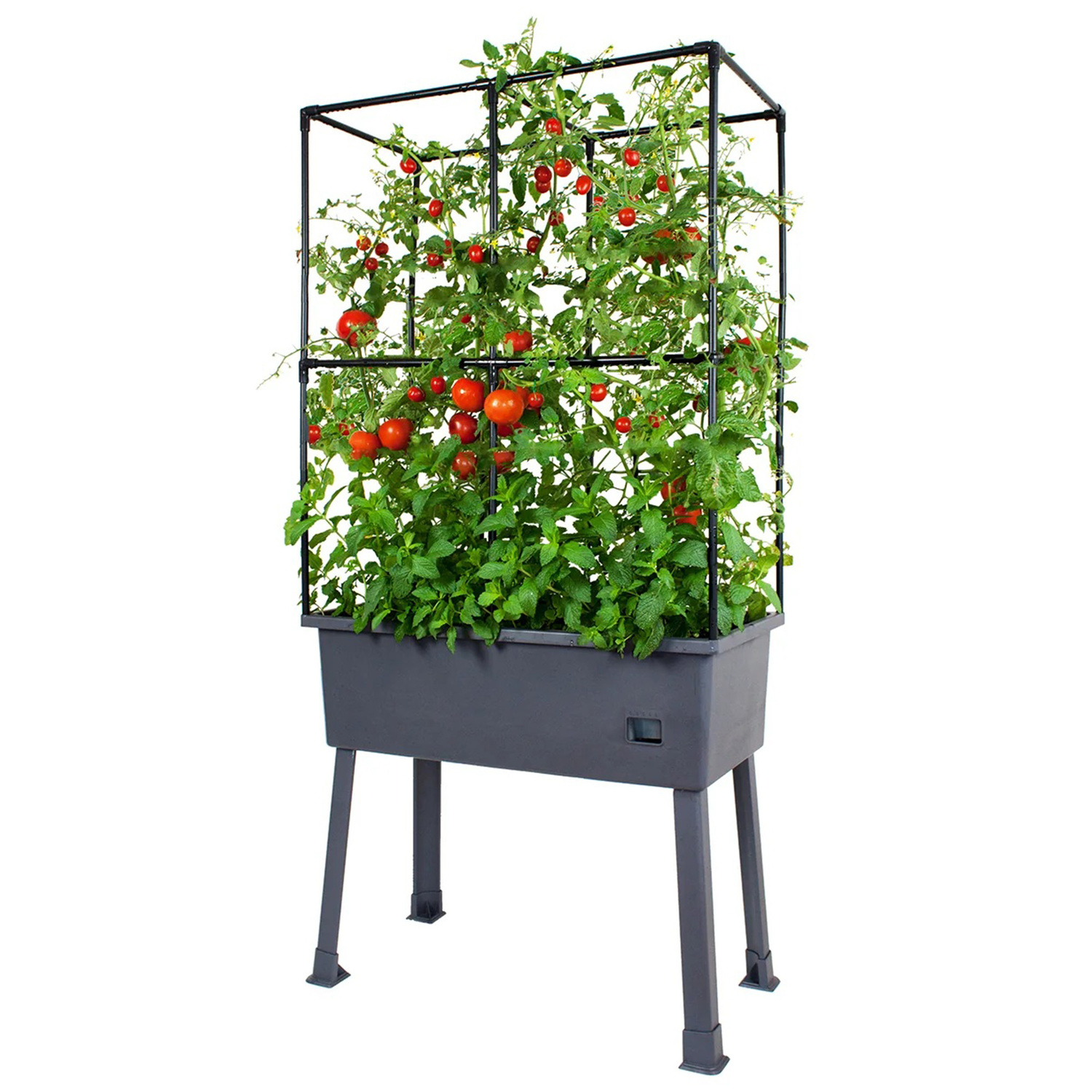 Chet Self-Watering Mobile Planter Box with Greenhouse & Leg Kit Set