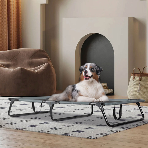 Elliot Foldable Elevated Dog Bed