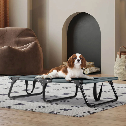 Elliot Foldable Elevated Dog Bed