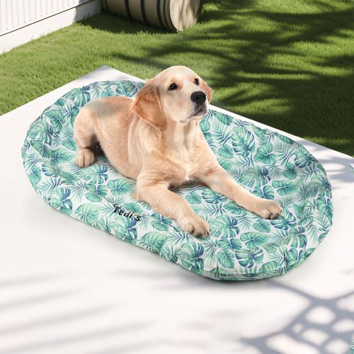 Clifford Dog Cooling Mat