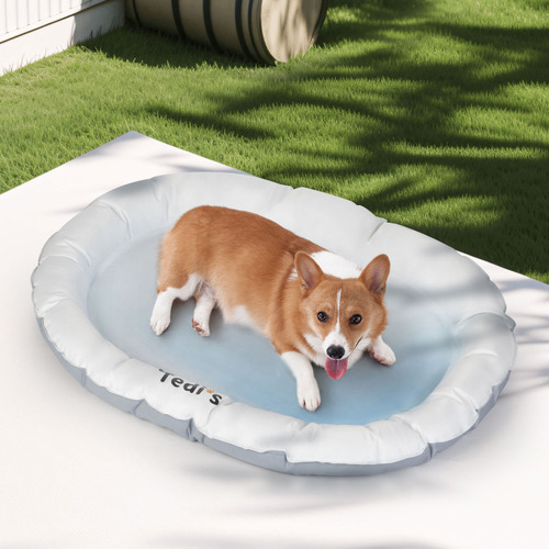 Dillon Dog Cooling Mat