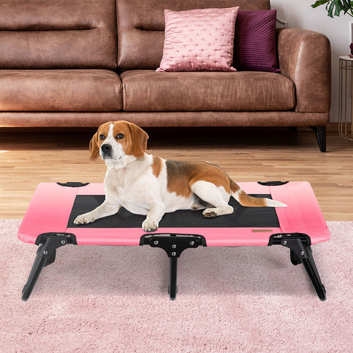 Chelsa Foldable Dog Bed with Handle
