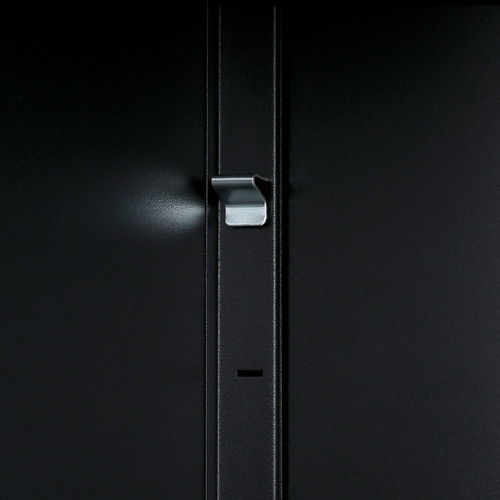 Laverne 2 Door Display Cabinet