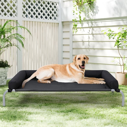 Granby Elevated Trampoline Bolster Pet Bed