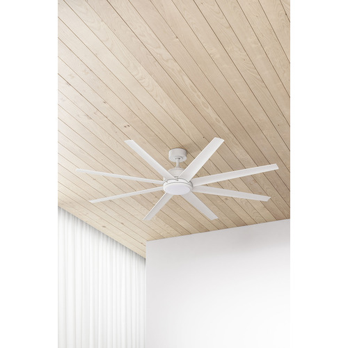 Titanic DC Ceiling Fan with LED