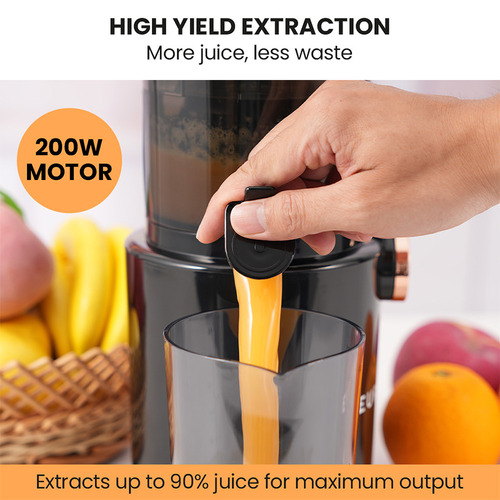 Cold Press Juicer