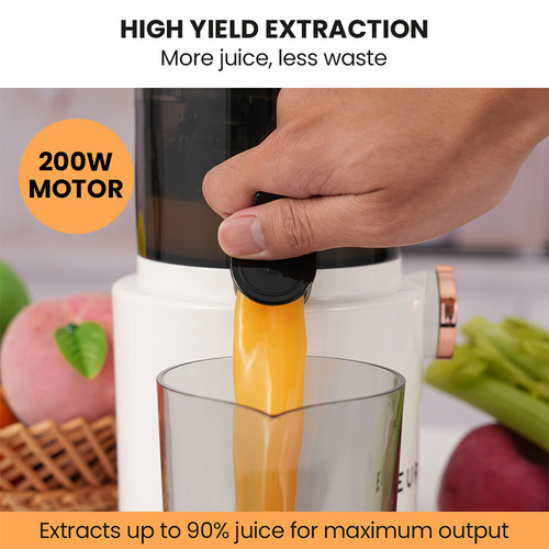 Cold Press Juicer