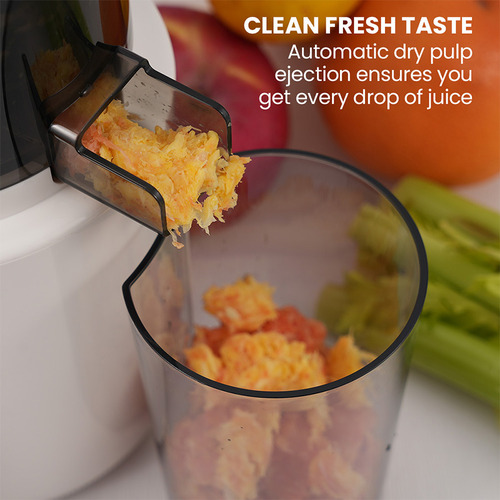 Cold Press Juicer