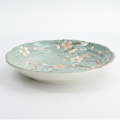 Fujisakura 22cm Porcelain Deep Plates