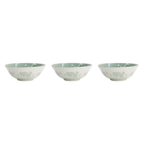 Fujisakura 21cm Porcelain Ramen Bowls