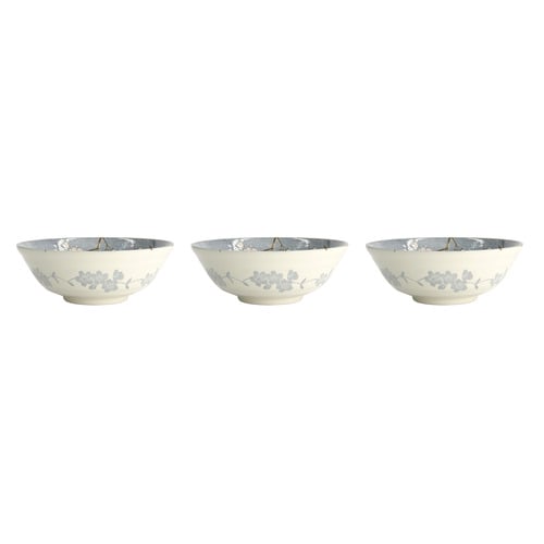 Fujisakura 21cm Porcelain Ramen Bowls