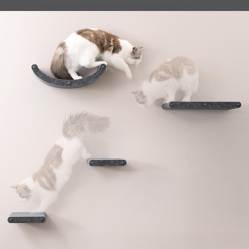 4 Piece Pryde Cat Climber Wall Shelf Set