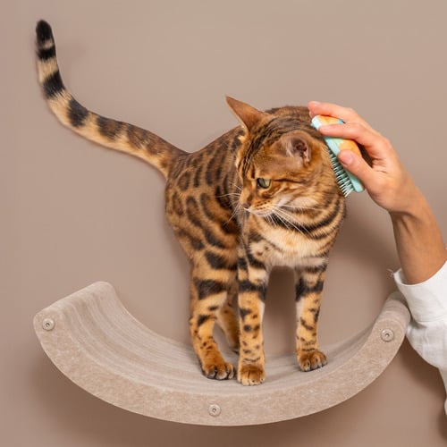 Pryde Curved Cat Climber Wall Shelf