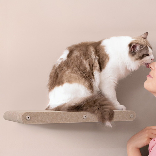 Pryde Long Cat Climber Wall Shelf