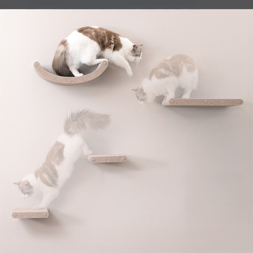 4 Piece Pryde Cat Climber Wall Shelf Set