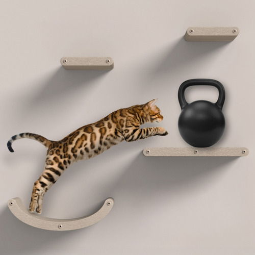 4 Piece Pryde Cat Climber Wall Shelf Set