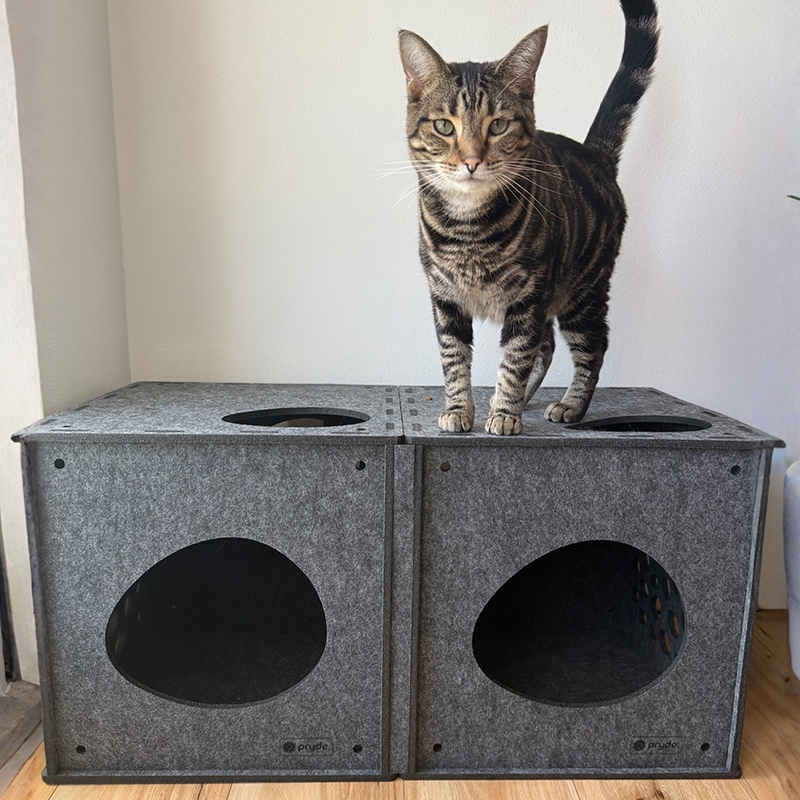 Pryde Modular Cat Cube
