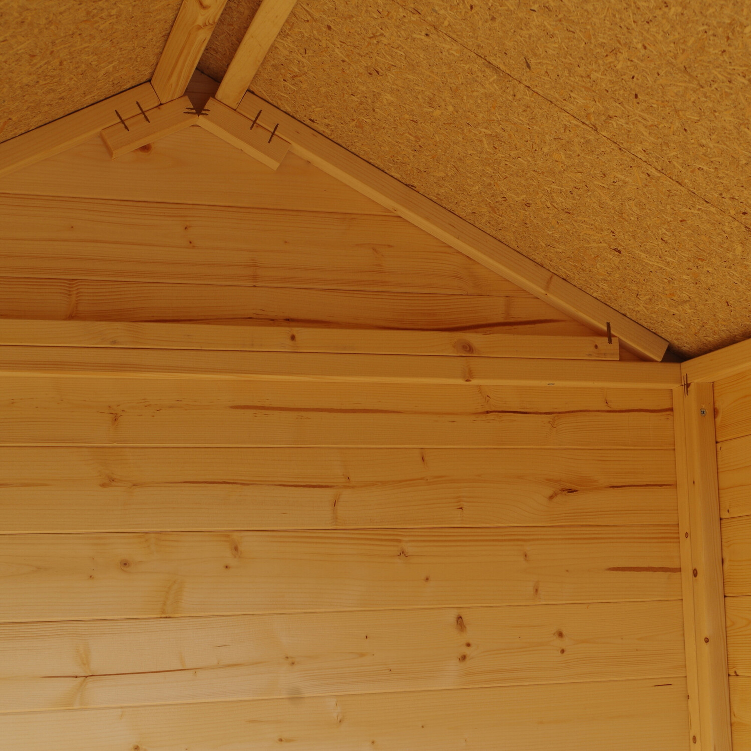 Derwent Garden Shed