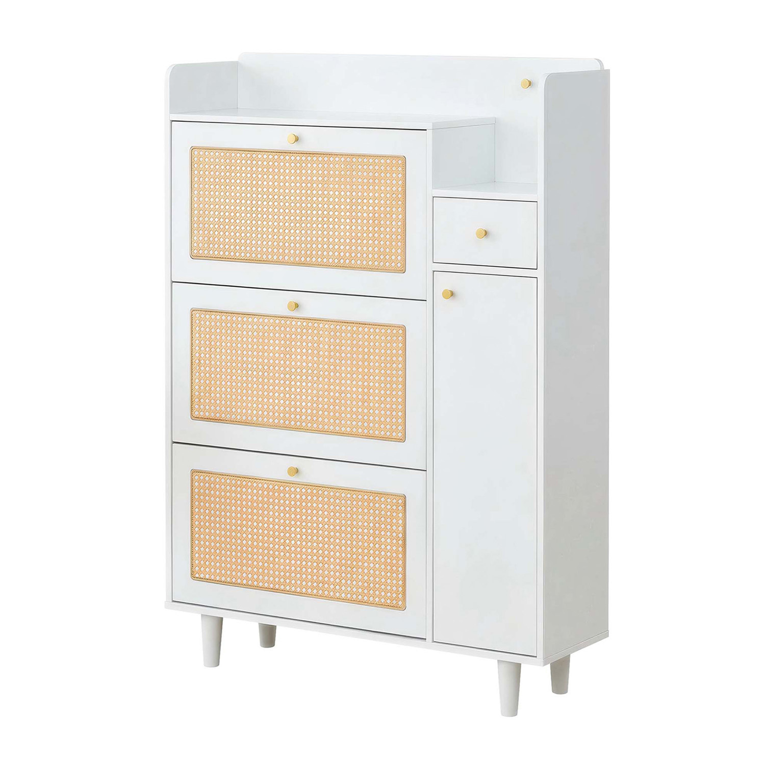 Ioanna 4 Door Rattan Shoe Cabinet