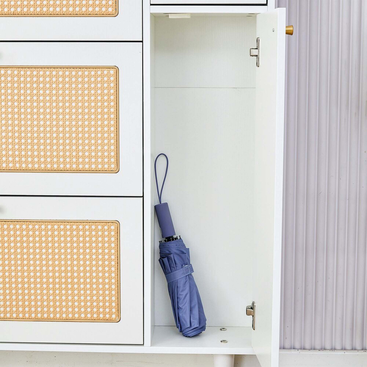 Ioanna 4 Door Rattan Shoe Cabinet