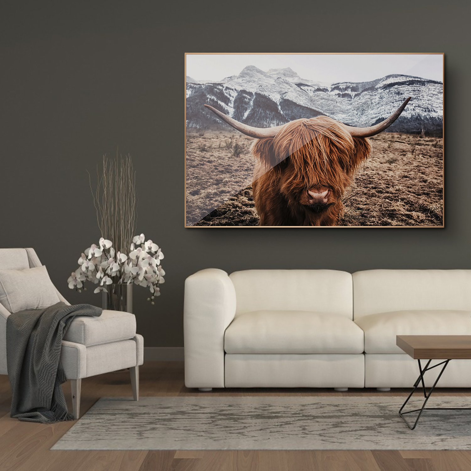 Scottish Highland Cattle Framed Canvas Wall Art