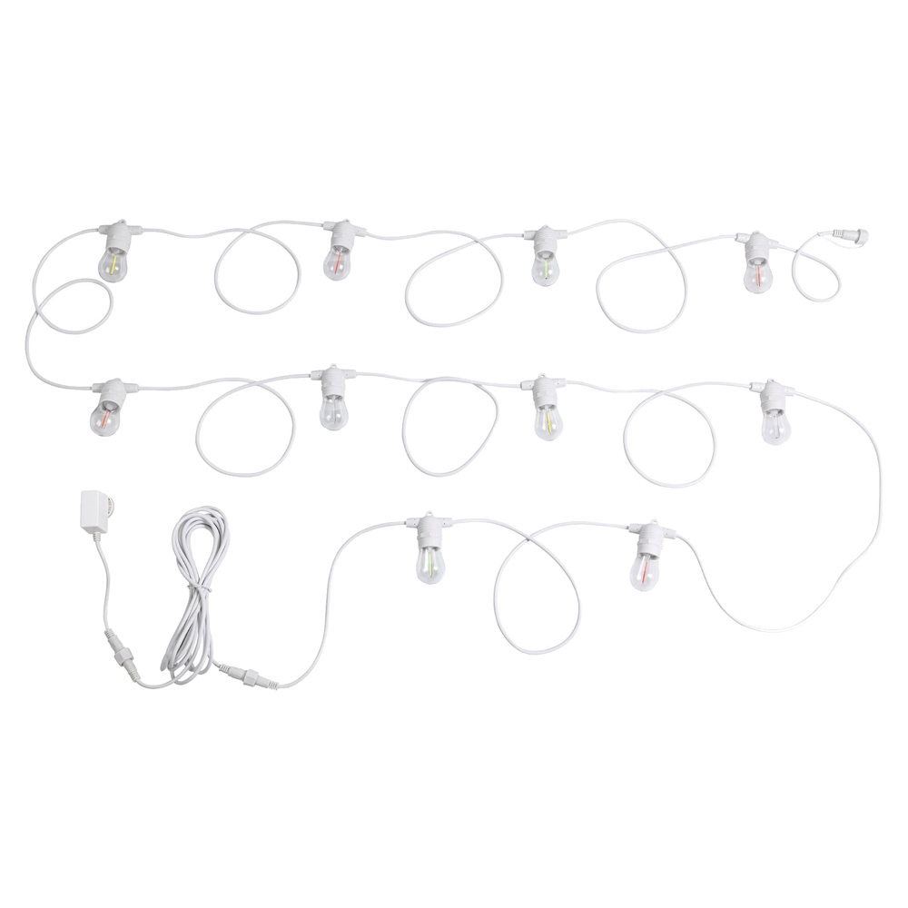 Multi-Colour LED Maxwell Fixed Festoon Lights
