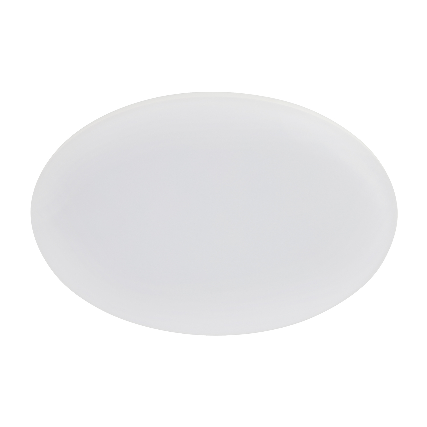 Roystar LED Outdoor Oyster Light