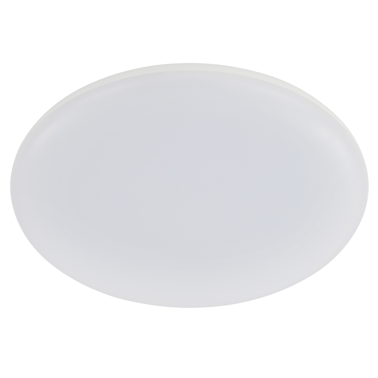 Roystar LED Outdoor Oyster Light
