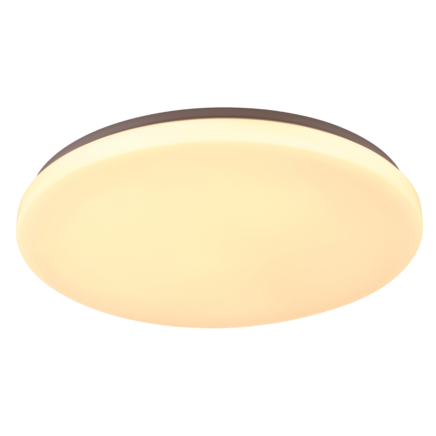 Diego 36W LED Oyster Light