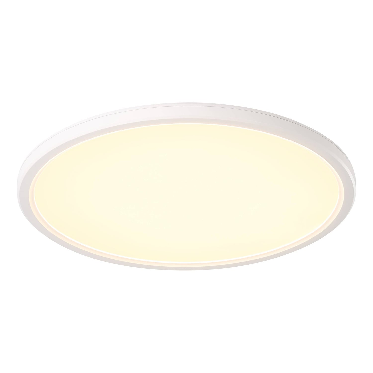 Romeo 24W LED Oyster Light