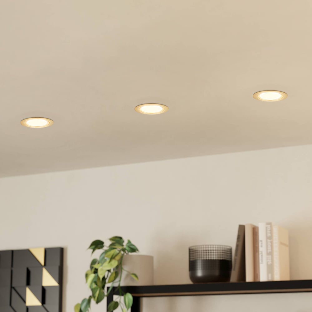 Roystar Gimbal Downlight Frame