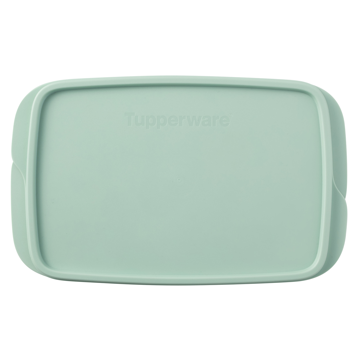 Divided 1L Rectangle Food Container Storage
