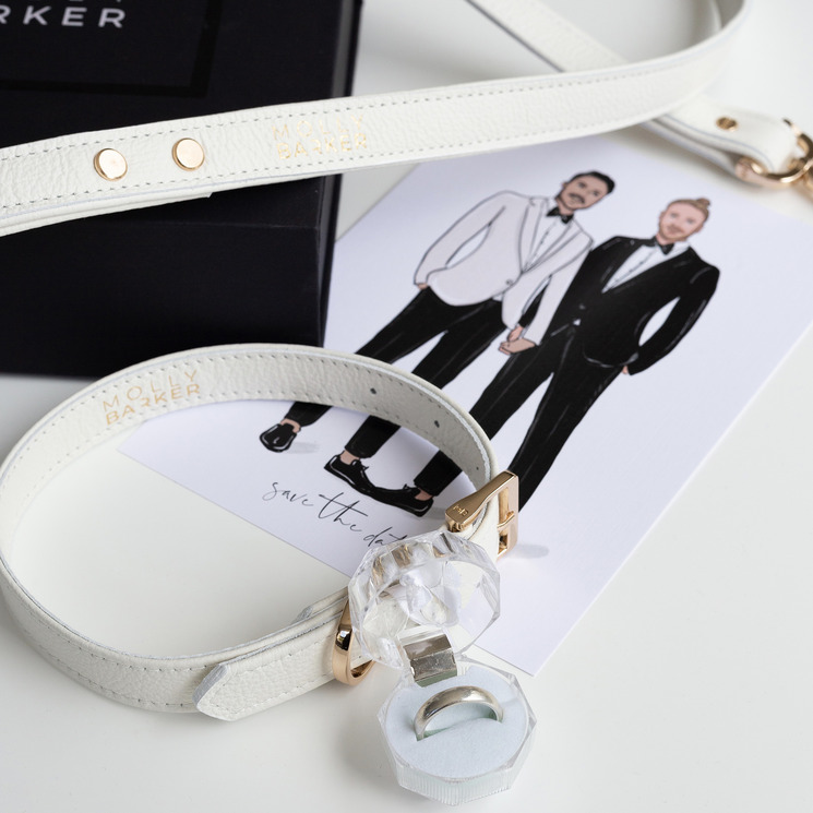 dog collar ring holder