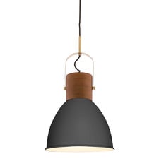 Ruston Iron Pendant Light