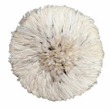 White Feather Wall Accent
