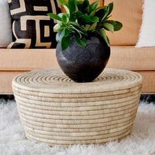 Lamove Ilala Palm Coffee Table