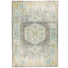 Grey Transitional Distressed Rug