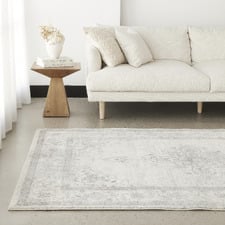 Silver & Grey Vintage-Style Transitional Distressed Rug