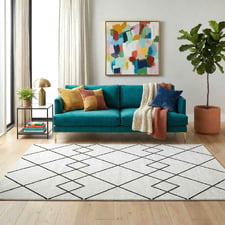 Bronson Contemporary Rug