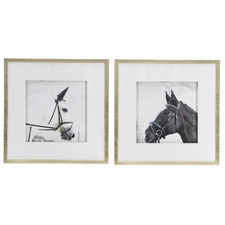Horse Framed Printed Wall Art Diptych