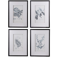 4 Piece Flora & Fauna Framed Printed Wall Art Set