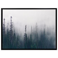 Enveloped Forest Canvas Wall Art