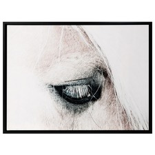 In the Blink of a Horse Eye Canvas Wall Art