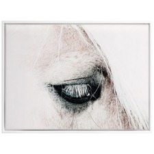 In the Blink of a Horse Eye Canvas Wall Art