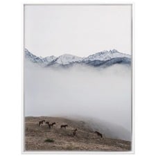 Horse Separation Canvas Wall Art