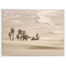 Sweet Mirage Desert Palms Canvas Wall Art