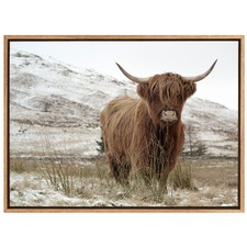 Great Hair Don't Care Yak Canvas Wall Art