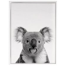 Oh Hi Koala Photographic Art Print